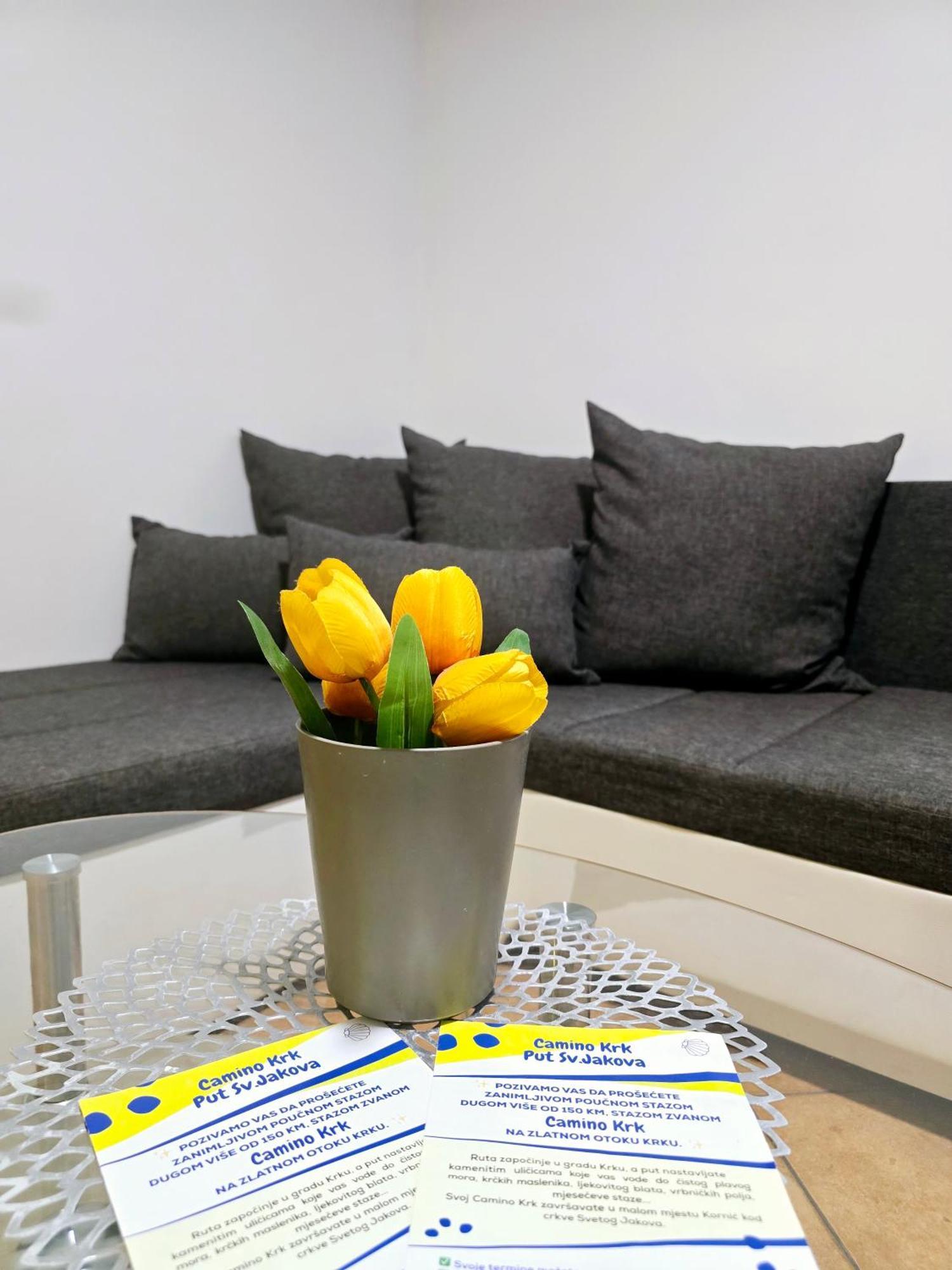 Apartament Vugica *